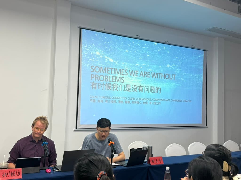 Sami presenting — Sometimes We Are Without Problems (IFS)